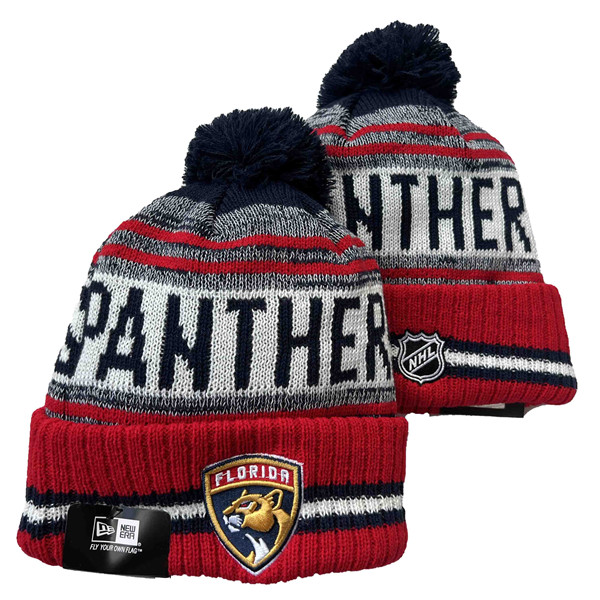 Florida Panthers 2025 Knit Hats 002